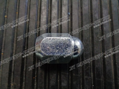 Гайка 256C4-42021