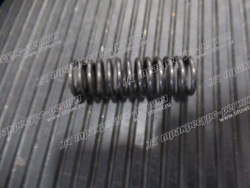 Пружина 15583-82451/1051391