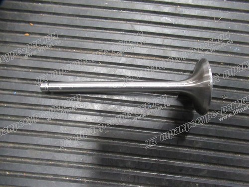 Клапан впускной NC485PBG/NB485BPG