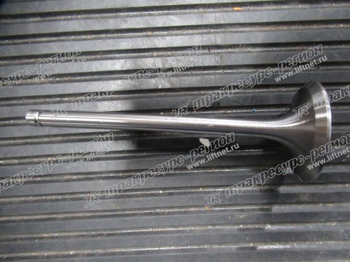 Клапан выпускной 490BPG/A490BPG