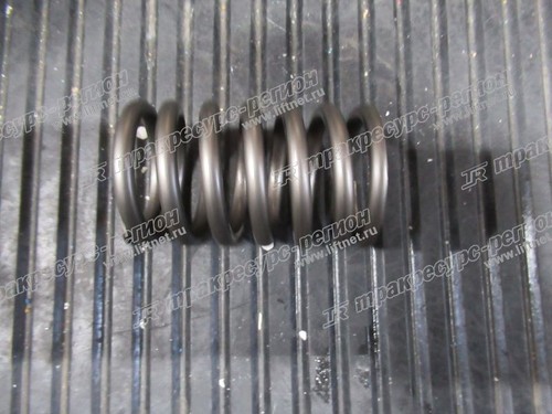 Пружина клапана внешняя 490BPG/A490BPG