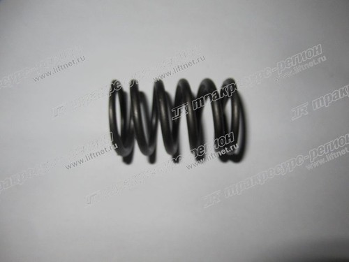 Пружина клапана внешняя NC485BPG/NB485BPG
