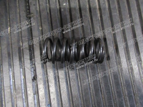 Пружина клапана внутренняя 490BPG/A490BPG