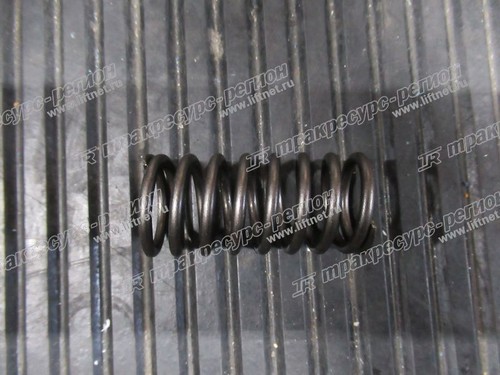 Пружина клапана внутренняя NC485PG/NB485BPG