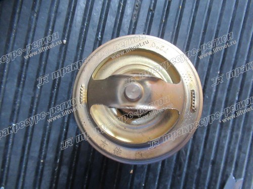 Термостат A490BPG/490BPG