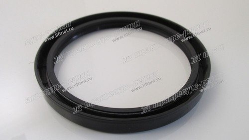 Сальник SG100x120x12