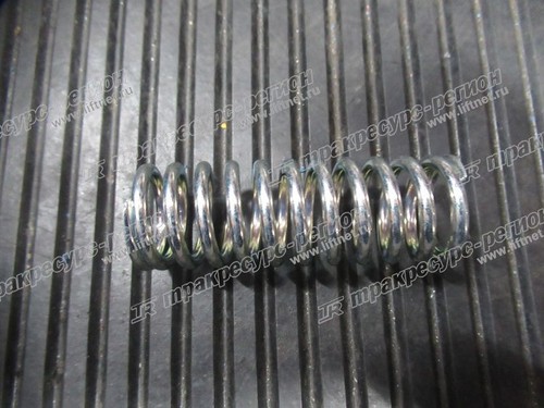 Пружина 256C5-62541