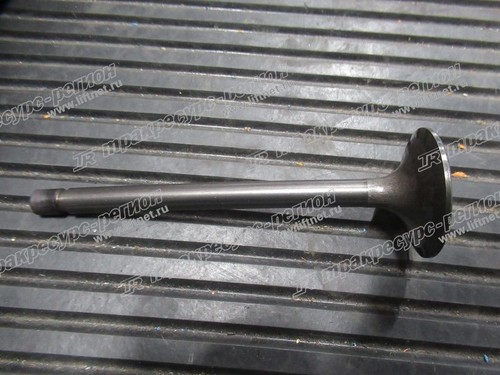 Клапан впускной BN-1C010-13113