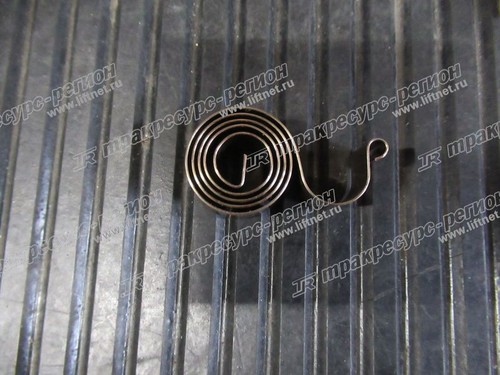 Пружина электродвигателя CPD10/20 / XQD-8.6-1B/XQD-7,5-2