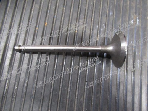 Клапан впускной YM129900-11100