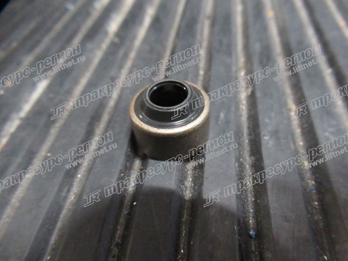 Колпачек маслосъемный BN-1C010-13150