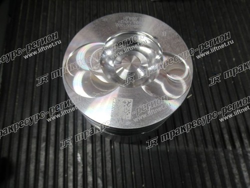 Поршень C490BPG