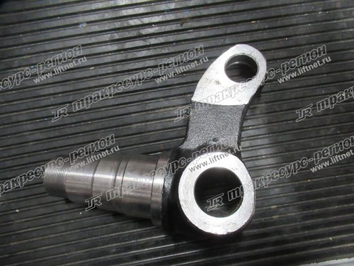 Кулак поворотный левый N163-220003-000