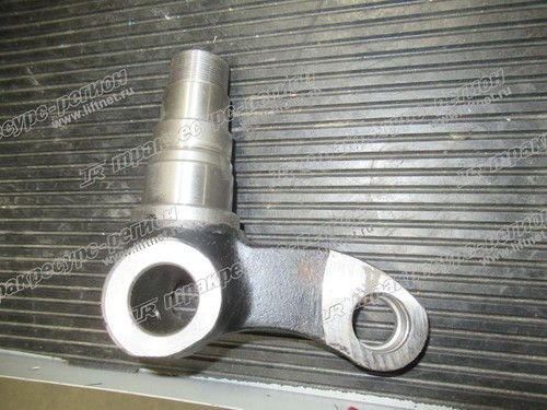 Кулак поворотный правый N163-220025-000