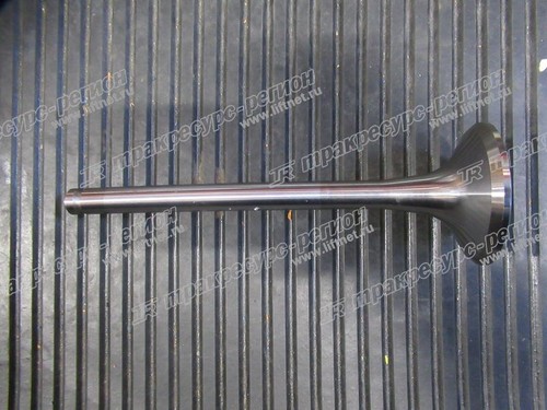 Клапан выпускной WD10/WD615