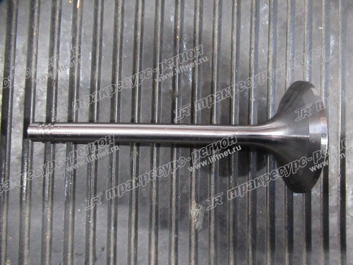 Клапан впускной TD226/WP6G