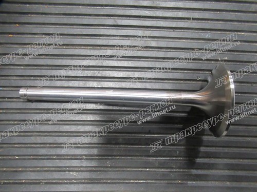 Клапан впускной WD10/WD615