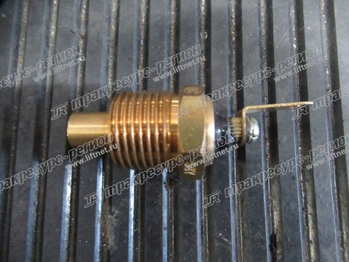 Датчик температуры охлаждающей жидкости 250100115