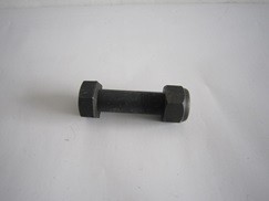 Болт с гайкой М30х110