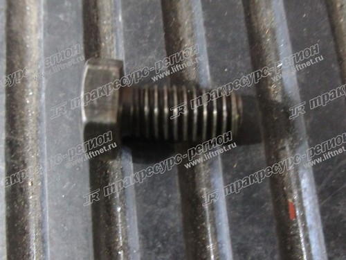 Болт F1035-06012