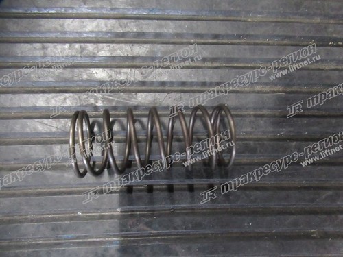 Пружина Z9099406070