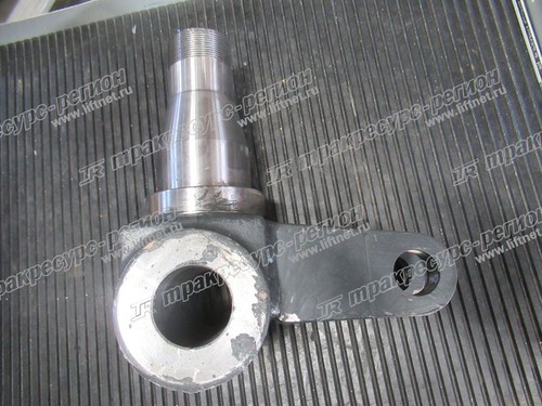 Кулак поворотный левый C0W05-02501