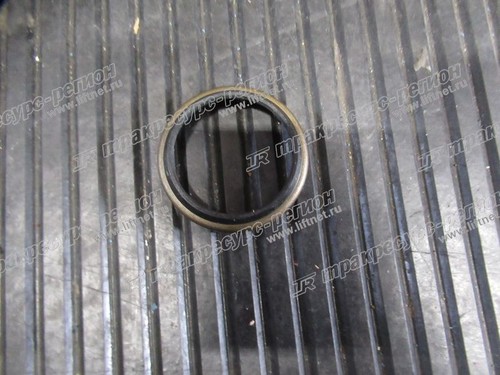 Сальник C0W01-23001