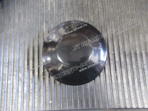 Крышка ступицы C0W05-21001