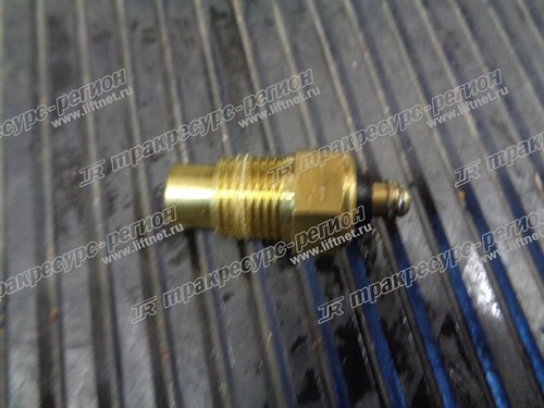 Датчик температуры воды C0D96-03501