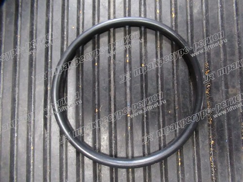 О-кольцо 56145013801