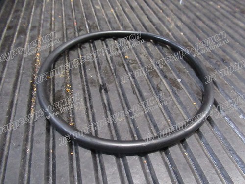 О-кольцо 56145013901