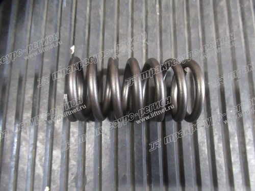 Пружина клапана 612630050005