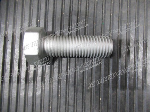 Болт 51204172022