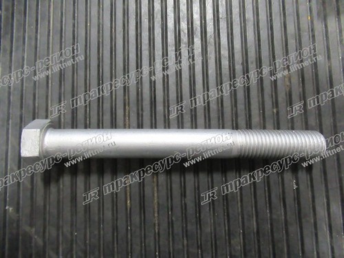 Болт 51203153421