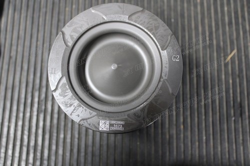 Поршень 1000208083