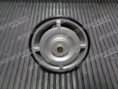 Термостат Weichai DHP06G0280-01