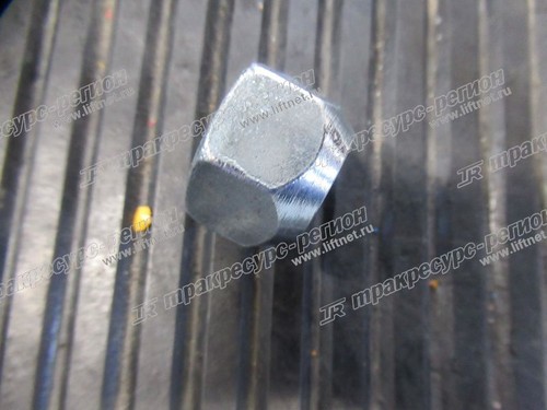 Гайка ступицы ведущего моста E2DEC56EC