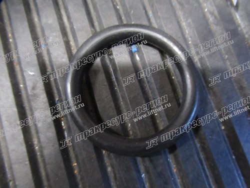 Сальник шкворня D128137F4