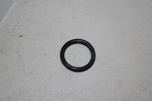 Кольцо форсунки 4110000054005/06214701