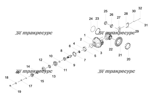 Шайба