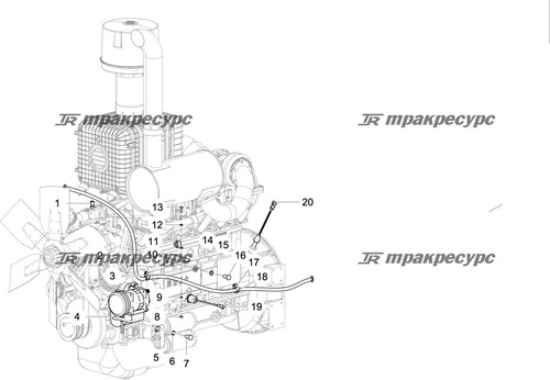 Жгут проводов двигателя CDM860Ⅰ.15Ⅱ.09