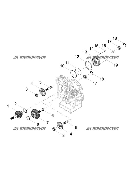 Регулировочное кольцо LGS863A.03.02-002