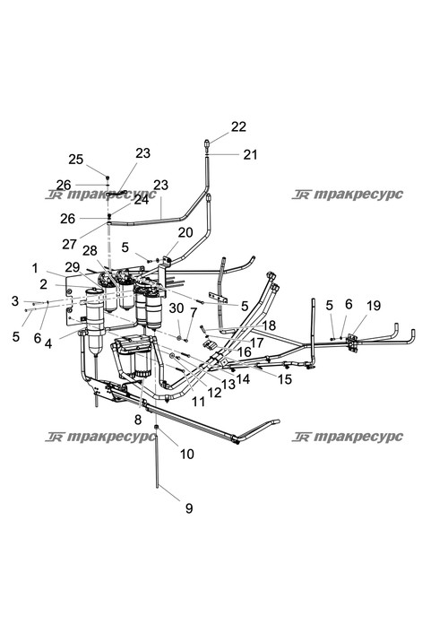 Уплотнительное кольцо 23.7×3.5 JISB2401
