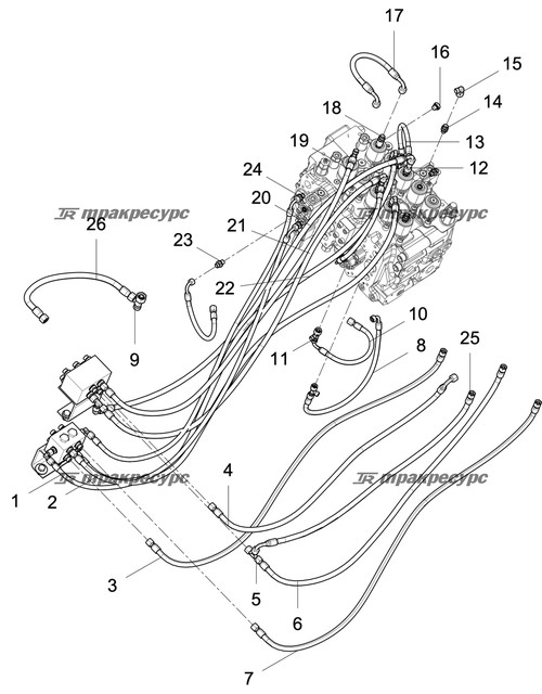 Высокий прямой фитинг 1CG-16-04JIS-L55
