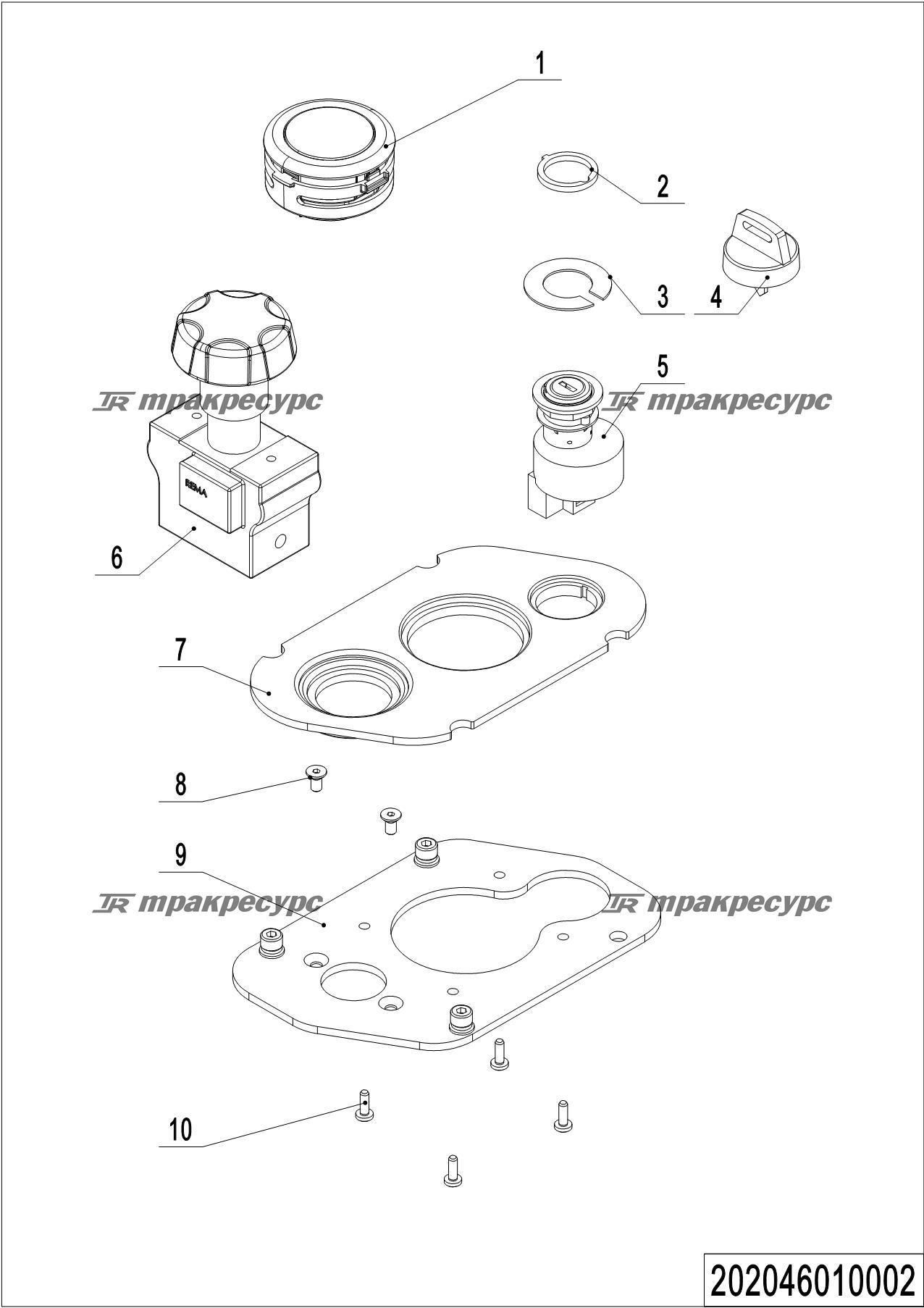 202046010002_page_109.png