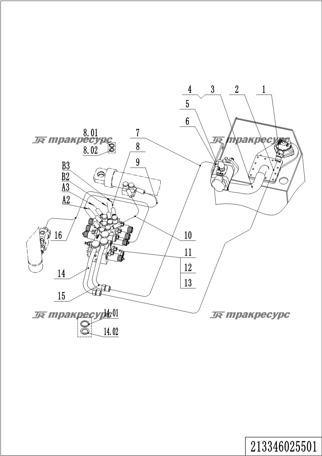 213346025501_page_13.png