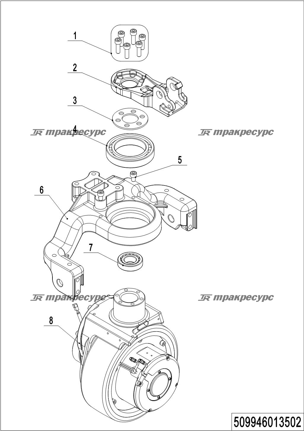 509946013502_page_4.png