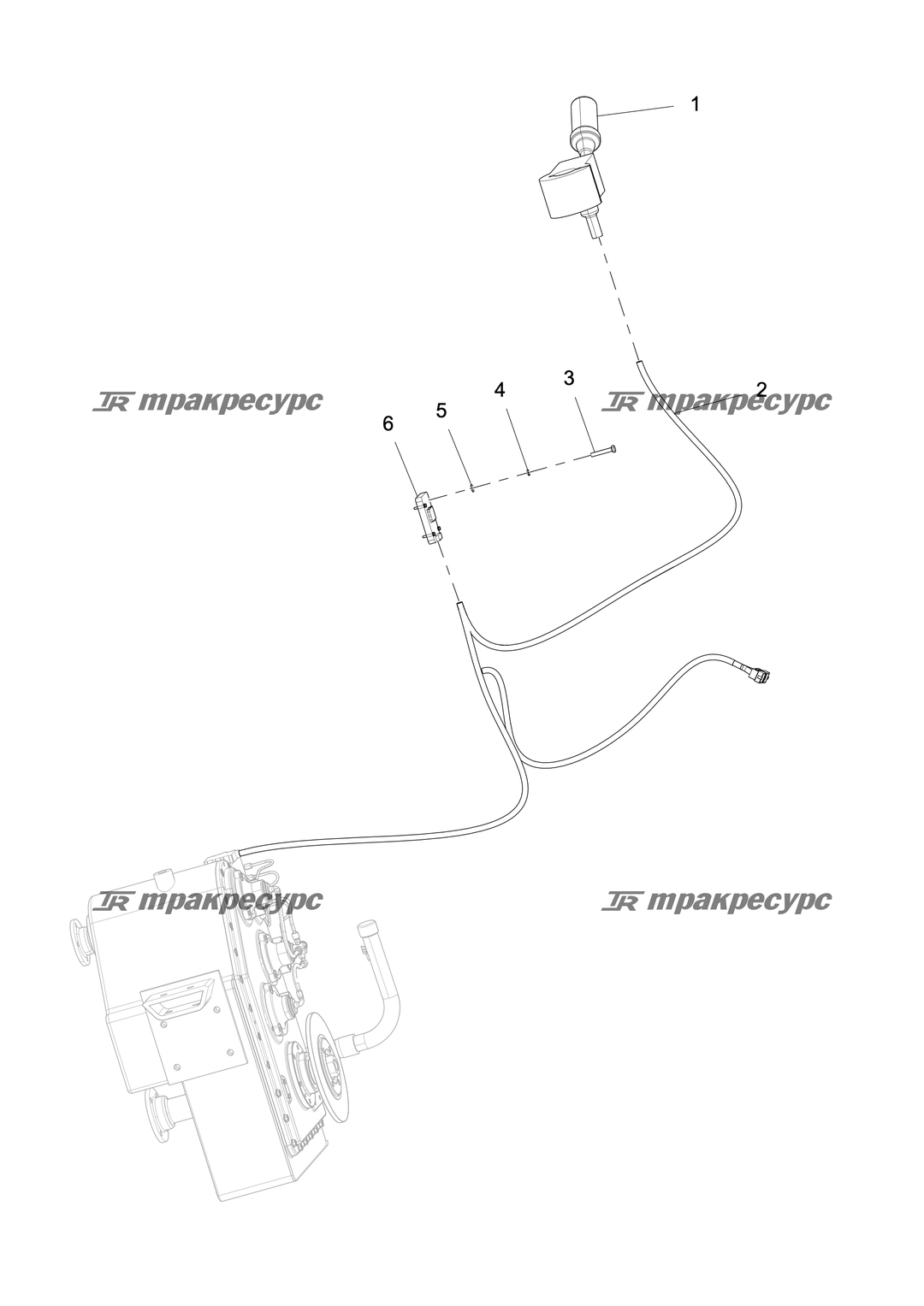 P000000033A2.png