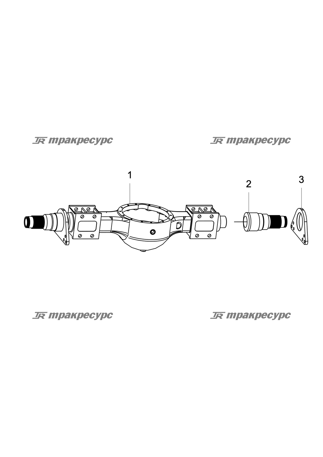 P000000058A2.png