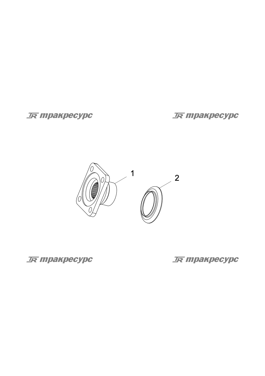 P000000060A2.png